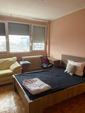 Cozy room Arena